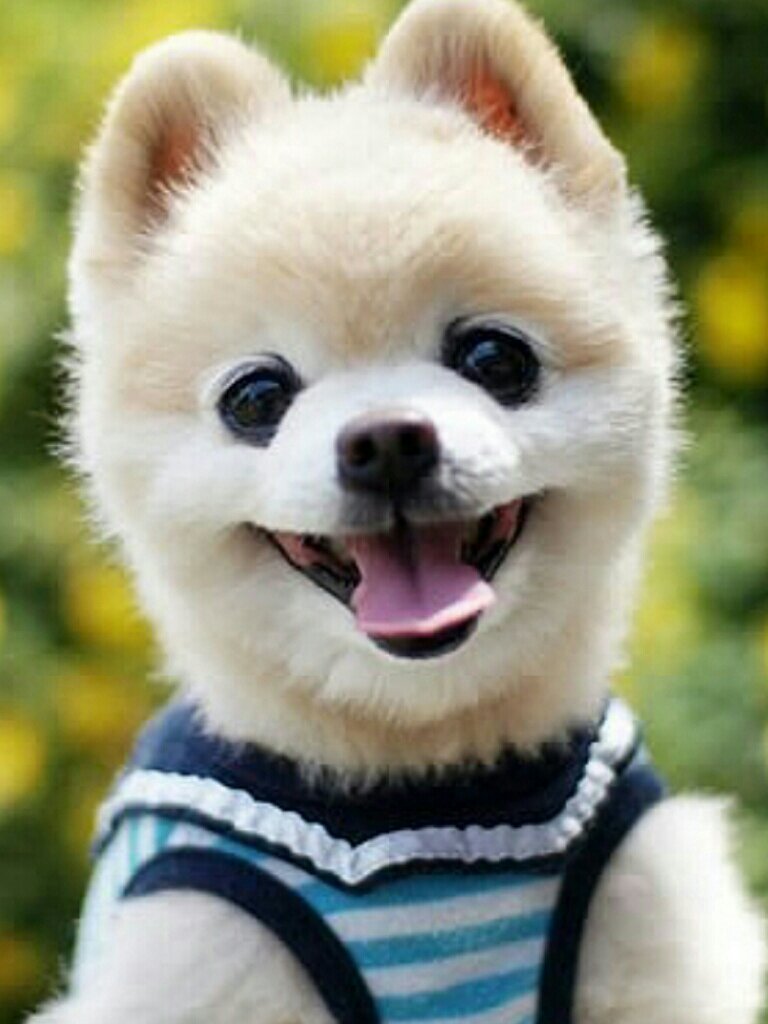 ȳܿɰϵ1